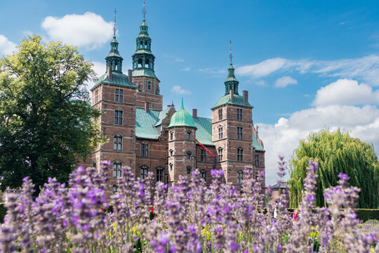 Copenhagen, Denmark- July 14, 2025: Lavender bushes blooming at Rosenborg Castle gardens near Rosenborg Castle (Rosenborg Slot) a famous renaissance castle summerhouse building exterior