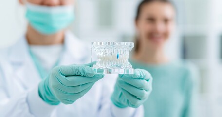 Fototapeta premium Dentist holding dental model with patient