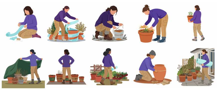 Woman Protecting Plants from Cold Winter Frost Vector Illustration Set