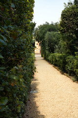 Obraz premium Sunlit gravel walkway lined with tall hedges leading toward the open sky in a park. Journey and direction along a garden path. Boboli Gardens.