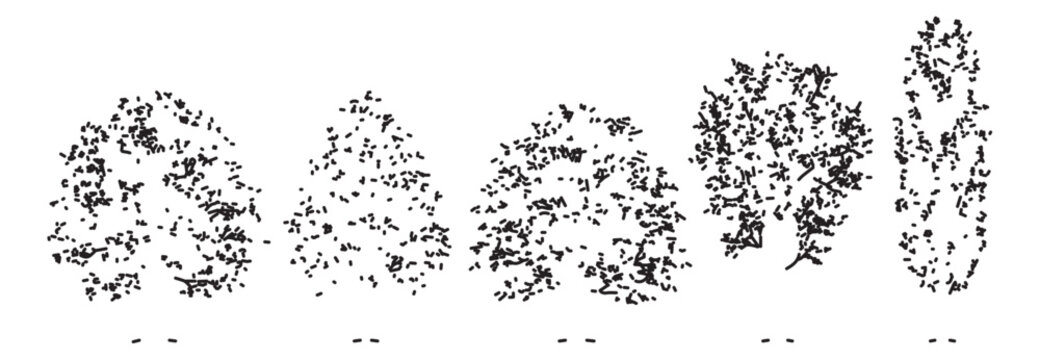 Minimalist tree silhouettes in top view, architectural landscape plan symbols, set of 5 black and white vegetation icons for site mapping