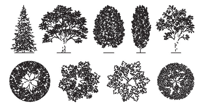 Architectural tree symbols for landscape design, black and white vector set of 9 plant elevations and top view plans for site mapping