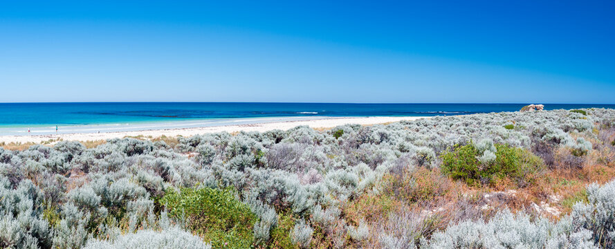 Blue skies white sands & turquoise ocean at two rocks beach