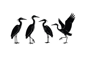 Obraz premium Great Blue Heron Silhouettes Set in Black and White
