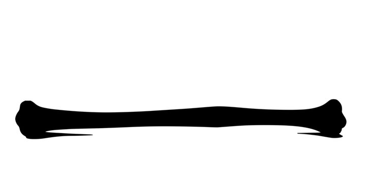 Series of five femur bones in varying stages of detail and shading, arranged horizontally from left to right, starting with a solid black silhouette and gradually transitioning to a fully detailed,...