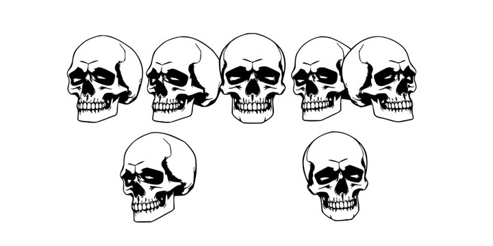 Skulls set with six skulls arranged in a 2x3 grid rendered in detailed monochromatic ink style featuring cross-hatching, bone structure, directional lighting and dramatic shadows with artistic mood