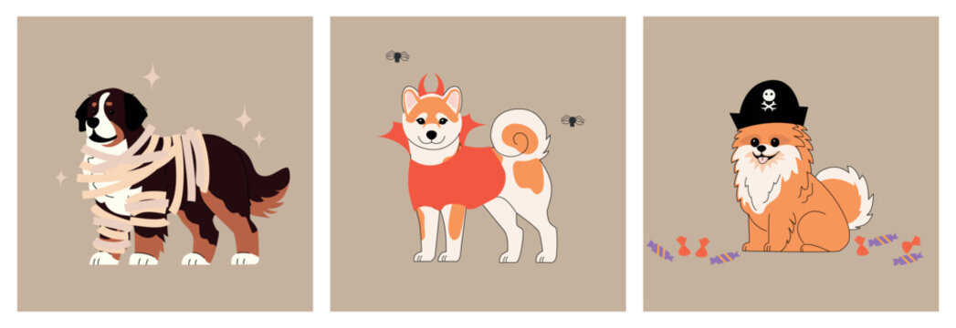 Cute Halloween dogs in costumes: mummy Bernese mountain dog, devil Shiba Inu and pirate Pomeranian on beige background. Vector illustration