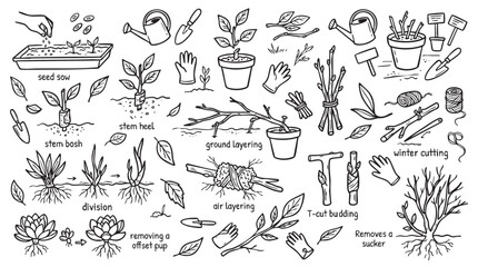 Obraz premium Plant propagation methods and gardening techniques diagram set.