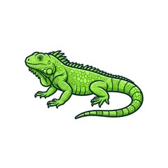 Fototapeta premium Green iguana illustration. Isolated lizard drawing.