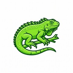 Fototapeta premium Green iguana illustration. Vector lizard on a branch.