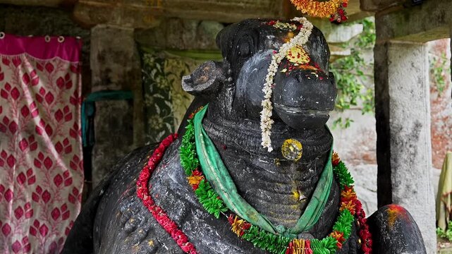 Pan shot of Nandi statue decorated with flowers at a sacred worshiping place nandi hills