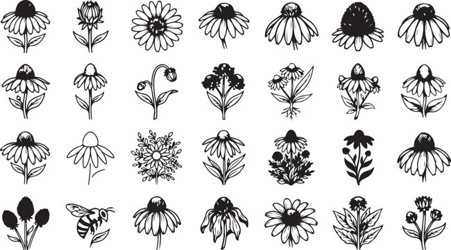 Echinacea flower icons set with hand drawn black ink sketches of coneflowers and a flying honey bee