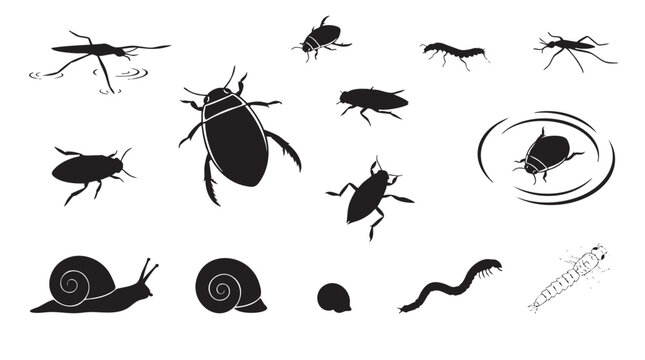 Black silhouette icons of freshwater macroinvertebrates and aquatic insects.
