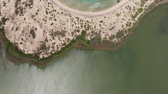Overhead drone shot revealing omega shape Voidokilia Beach on a sunny day in summer, Pilos, Messinia, Peloponnese