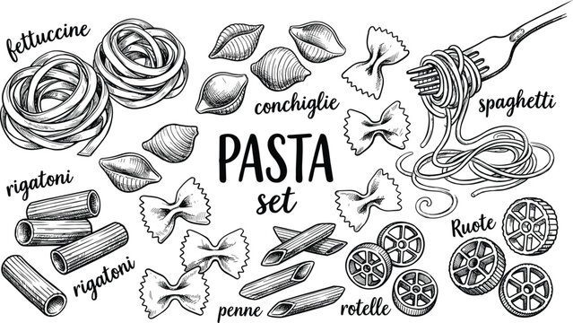 Traditional Italian pasta types hand drawn engraving illustration set featuring fettuccine spaghetti penne rigatoni farfalle and conchiglie isolated