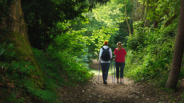 Two adult hikers, a woman and a man, hiking on a path in a lush green forest