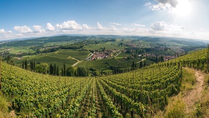 Obraz premium Panoramic View of Lush Vineyard Hills with Scenic Village and Blue Sky