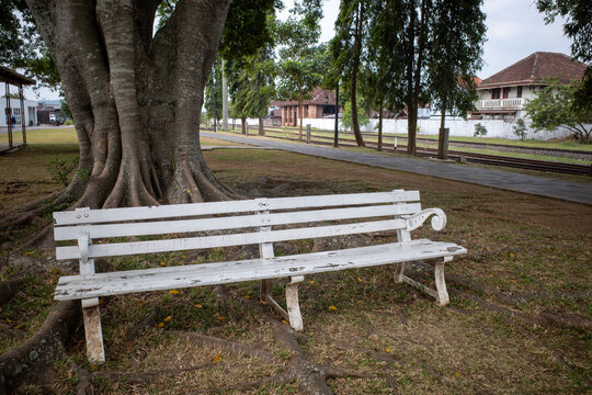 A white vintage metal benche in the green tranquil garden park