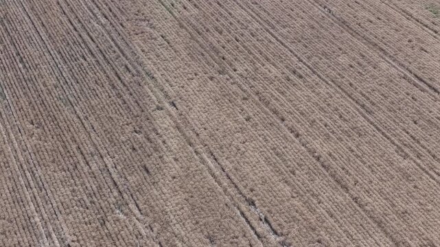An aerial view reveals the distinct parallel rows of a dry agricultural field, highlighting the texture and scale of modern farming practices.