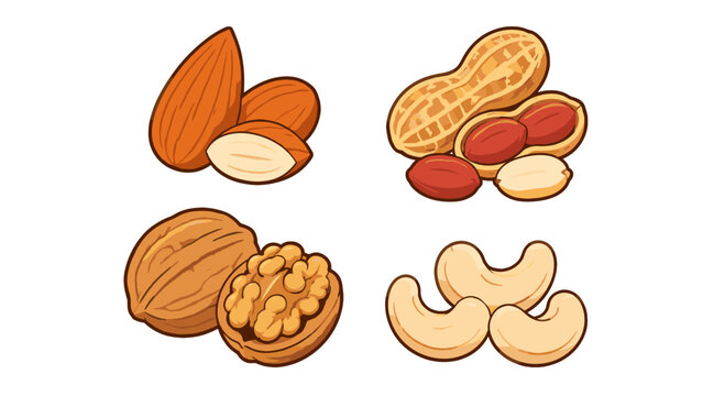 Hand drawn nut set with almond peanut walnut and cashew