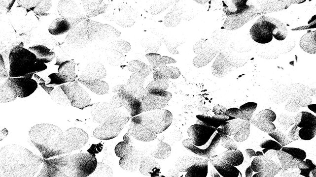 Minimalist light monochrome shamrock leaves sketchy textured background