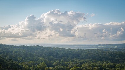 Obraz premium Lush Green Forest Landscape Under Fluffy Clouds in a Clear Sky