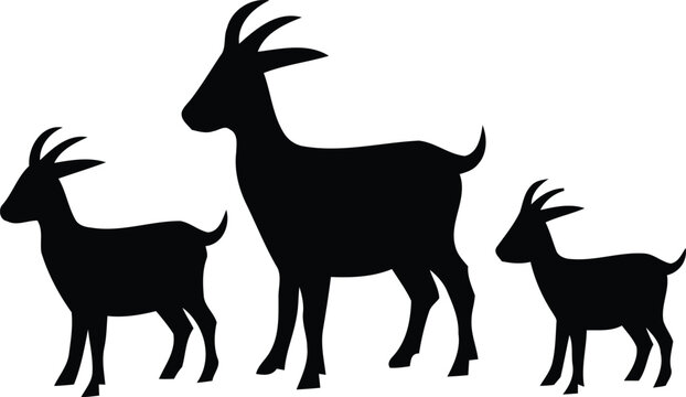 Kid goat and baby adult and billy and nanny family