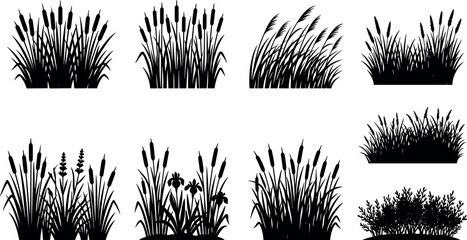 Cattail reeds and swamp grass silhouettes set including wetland plants bullrush and river vegetation © Tanzilur