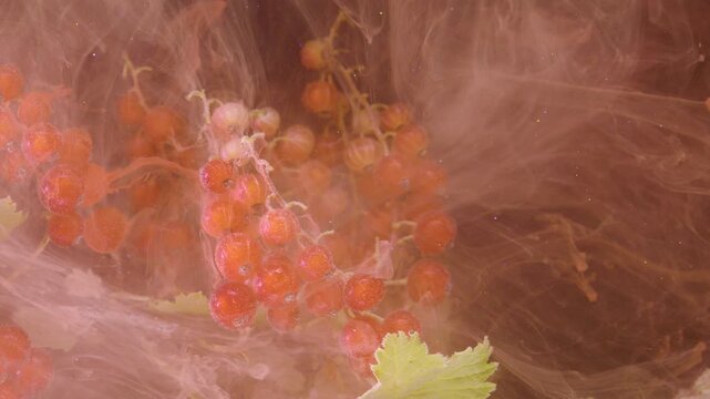 Close-up of ripe red currant clusters with pale green leaf, wrapped in translucent pink brown mist and soft backlight, revealing delicate surface detail, gentle movement, and dreamy organic mood