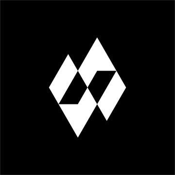 An elegant, futuristic NS/SN logo framed within a sharp diamond silhouette. Perfect for luxury lifestyle branding, premium esports, and high-end tech startups.