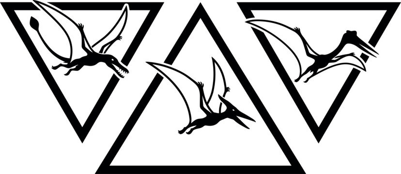 Three flying pterodactyl silhouettes positioned inside simple geometric triangle outlines.