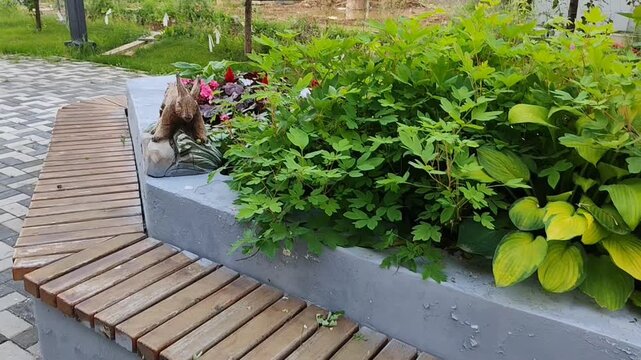 Green landscaping with vibrant plants in a garden setting