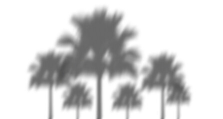Obraz premium Soft natural shadow of palm trees cast on a surface for creative design overlay and tropical summer aesthetic projects
