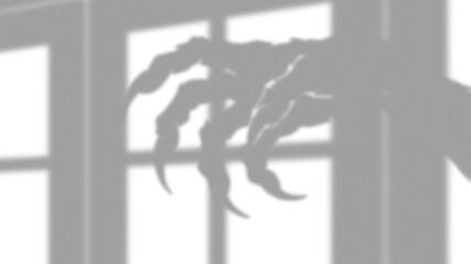 Shadow of a scary monster hand with long sharp claws reaching through a window pane at night © Asad