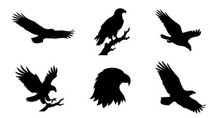 Naklejka premium 70 Eagle Silhouettes Collection, Majestic Birds in Flight and Perched Poses, Vector Graphics for Wildlife and Freedom Themes 100