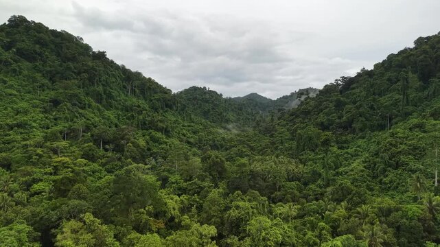 landscape, view, cloud, panorama, travel, summer, nature, sky, sea, raja ampat, papua, forest, green, bandaneira, mountain, grass, clouds, mountains, rural, tree, countryside, autumn, horizon, sun, su