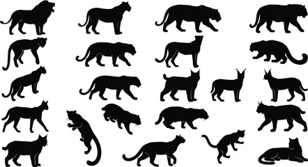 Big Cat Silhouette Collection Featuring Lions Tigers Panthers and Wild Felines Vector Bundle © bipul stok