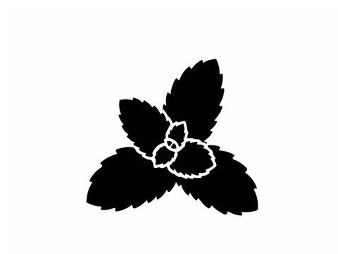Black Mint Leaves Silhouette Isolated on White Background, Minimalist Herbal Plant Graphic Icon