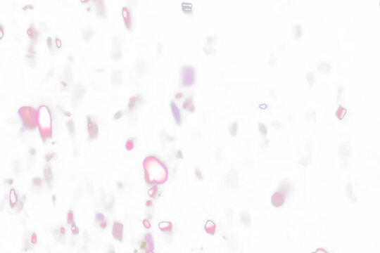Abstract Bokeh Lights and Particles Floating in Transparent Space