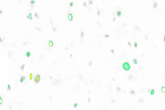 Abstract Green Confetti Falling Against Transparent Background Celebration Party