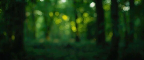 Fototapeta premium blurred forest background with soft green tones