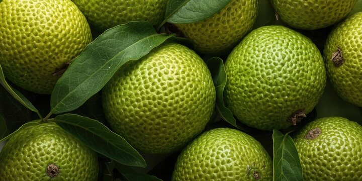 Fresh Green Lemons with Leaves in a Closeup Arrangement