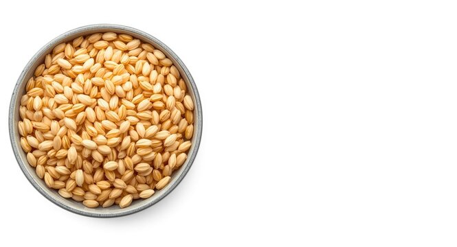 Bowl of Raw Barley Grains - Isolated on White, Top View, Natural Texture