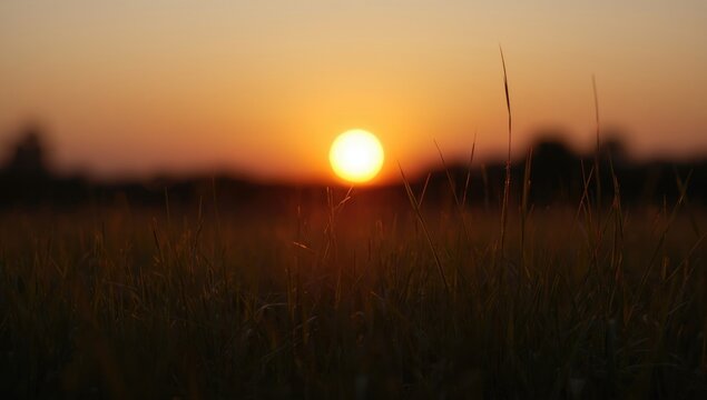 Sunset Over Gentle Meadow Grass - Soft Focus, Warm Glow, Tranquil Atmosphere