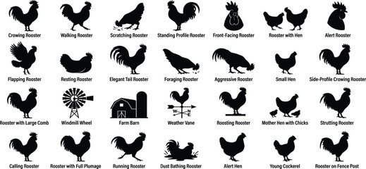 Comprehensive Rooster and Poultry Behavior Icon Set Featuring Black Minimalist Silhouettes for Agriculture Rural Farming Branding and Livestock Graphic Designs. © Anisur