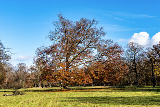 Golden autumn view in famous Munich relax place. Munich, Bavaria, Germany