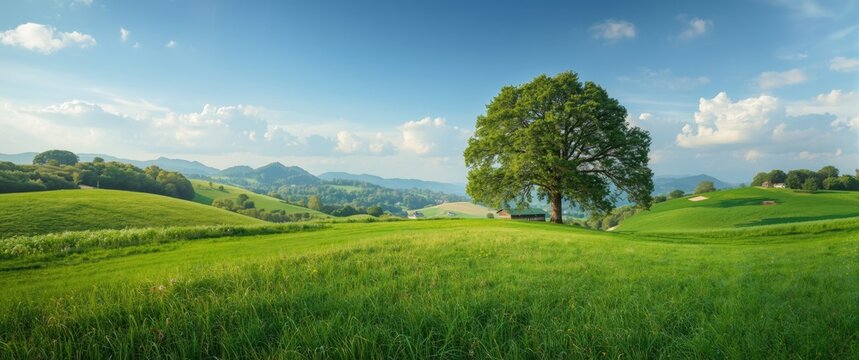 Lush Green Rolling Hills with Tree - Scenic Landscape, Bright Sky, Panoramic View