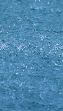 Rain drops splashing on water surface in vertical motion.
