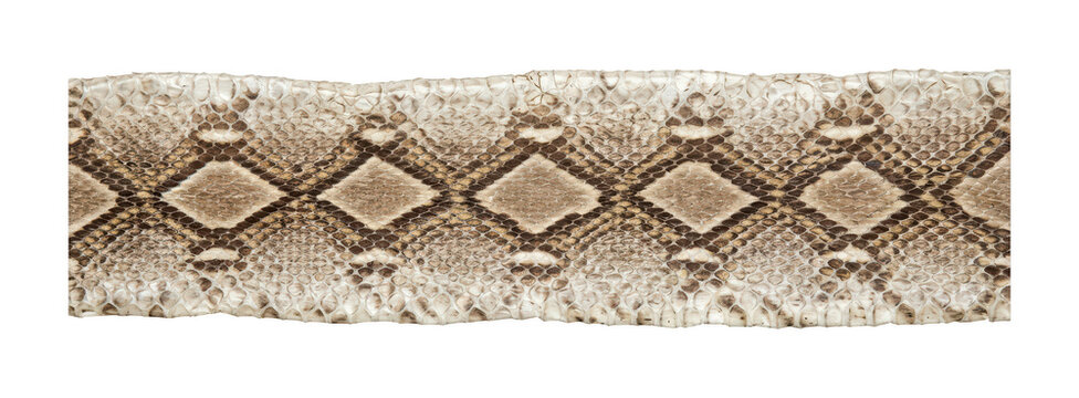 Natural snakeskin design realistic rattlesnake skin theme detailed python skin design Wallpaper Background image