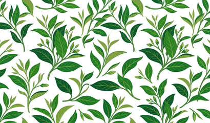 Fototapeta premium Premium green tea leaf seamless botanical vector pattern for packaging and surface design